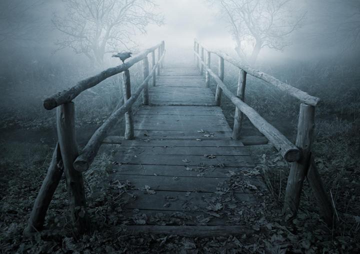 november_s_sorrows